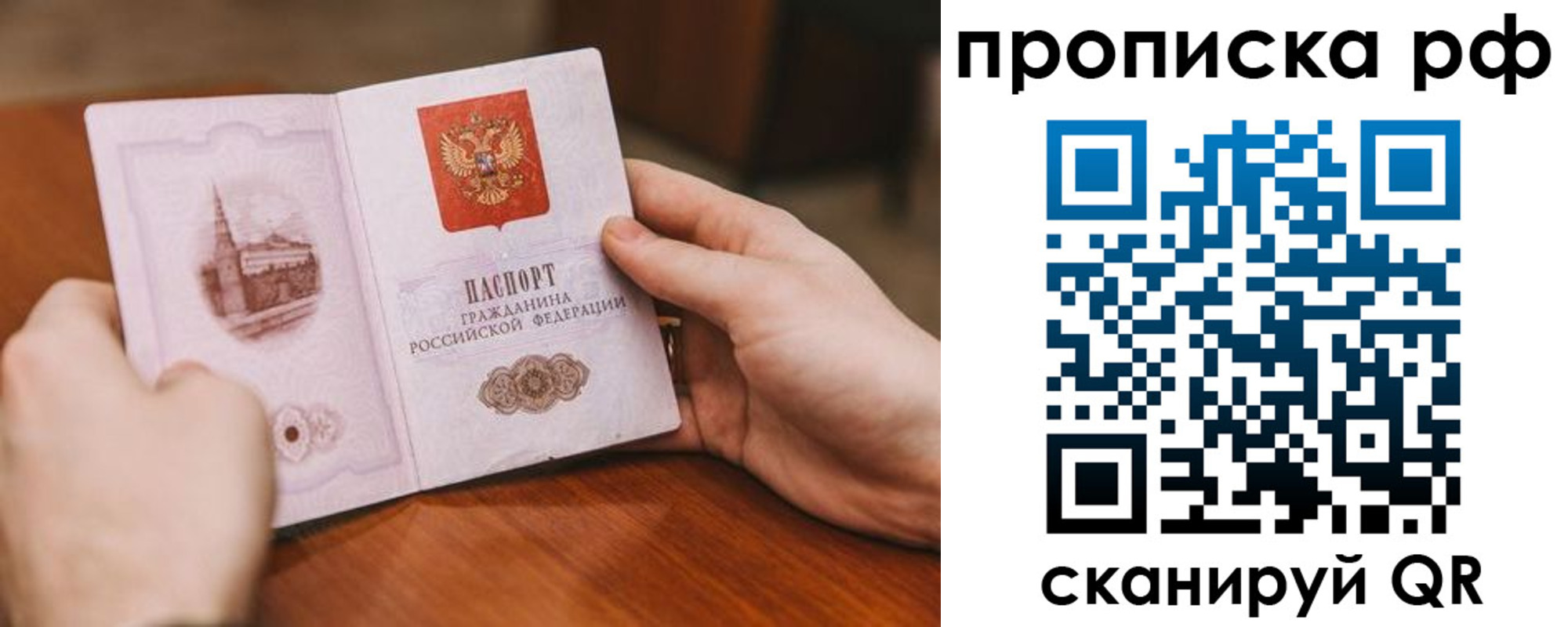 прописка поиск в Тереке